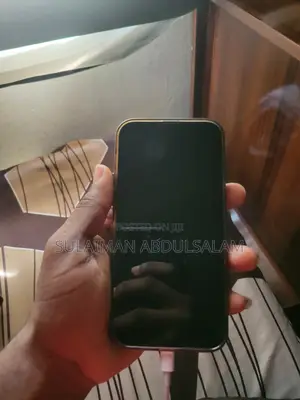 Apple iPhone 13 Pro Max 256 GB Gray