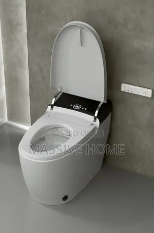 Executive Censor Automatic Smart Wc With Remote
