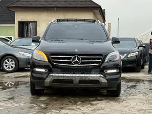 Mercedes-Benz M Class 2015 Black