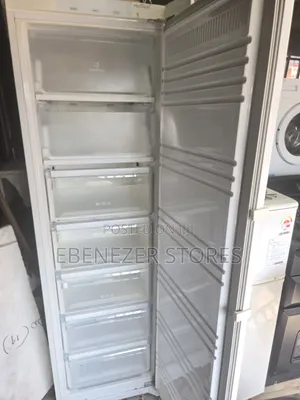 Direct Korean Use Standing Freezer