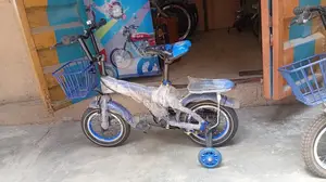 SPN Kids Size 12 Bicycle