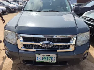 Ford Escape XLT 4WD 2.3 2008 Gray