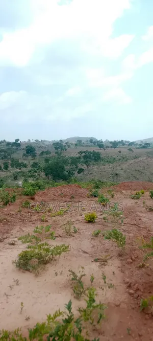 Wealthy Land