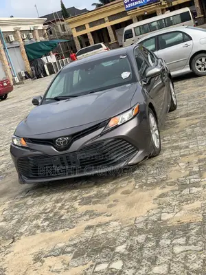 Toyota Camry LE FWD 2020 Brown