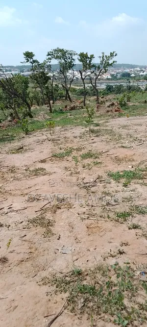 Wealthy Land