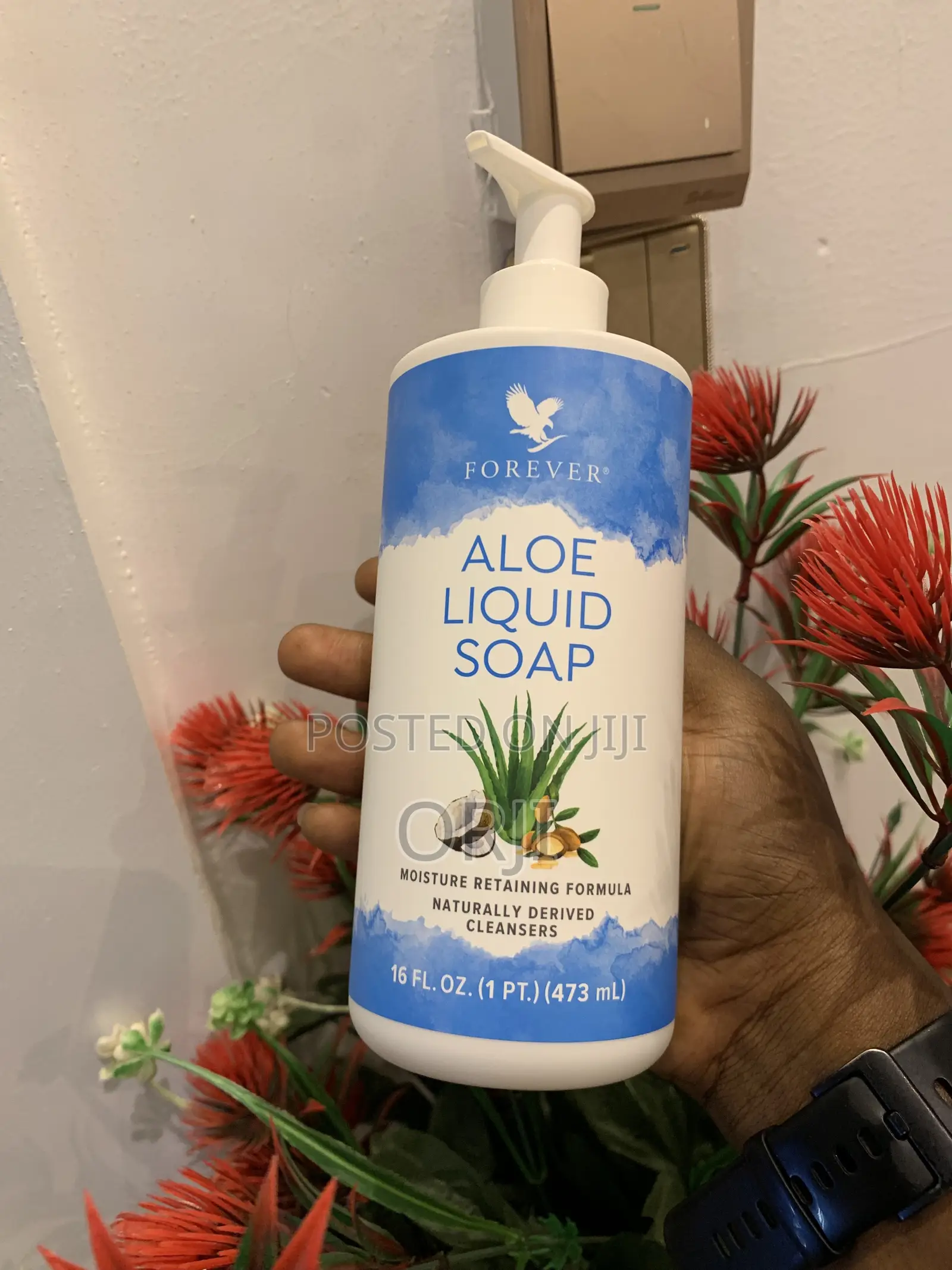 Aloe Liquid Wash