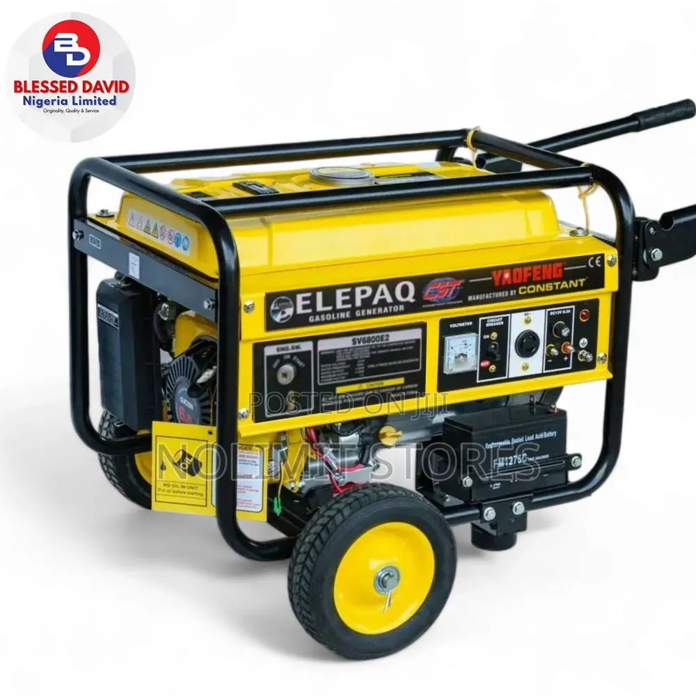 Elepaq Constant 4.5kva Generator -Sv6800e2 Key Start