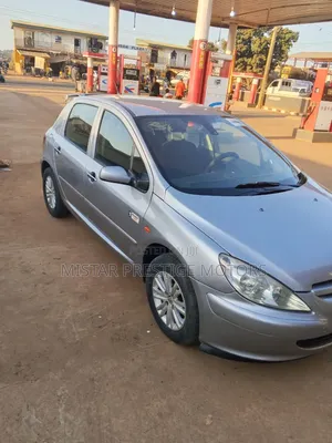 Peugeot 309 2004 Gray