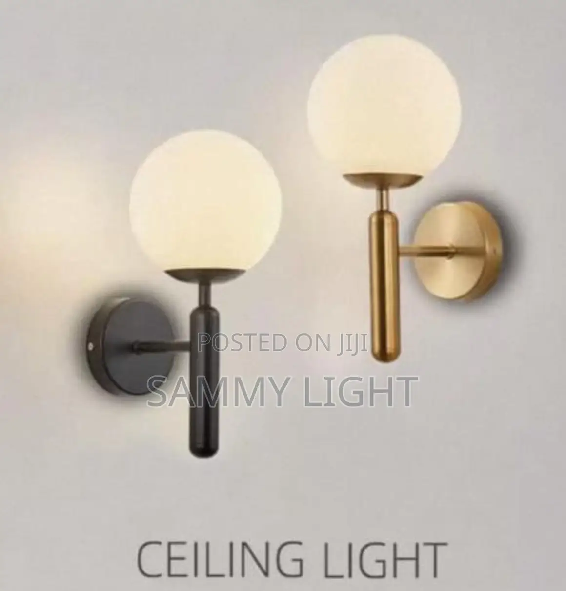 Ceiling Light