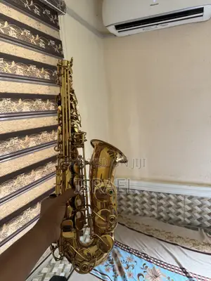 Original Professional Alto Saxophone