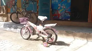 SPN BMX Kids Size 16 Bicycle