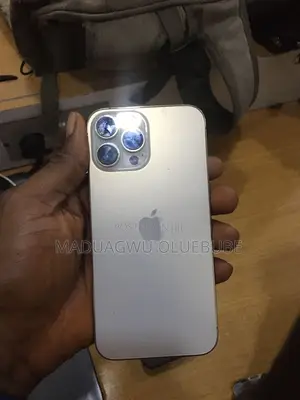 Apple iPhone 13 Pro Max 256 GB Silver