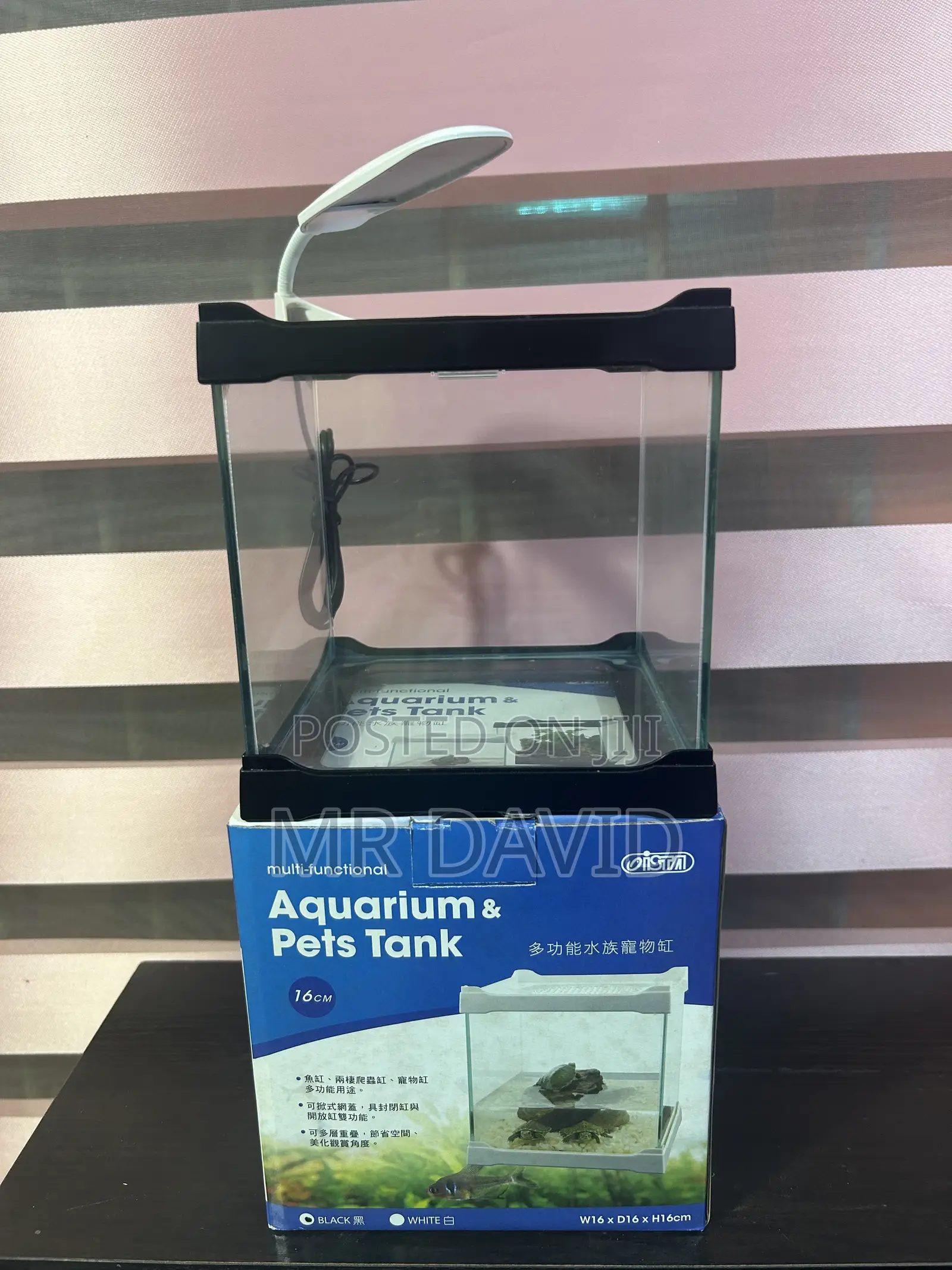 Mini Aquarium Tanks