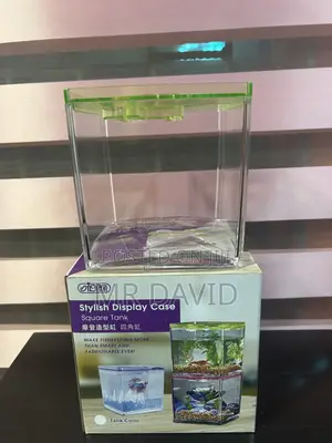 Mini Aquarium Tanks