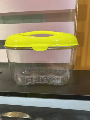 Mini Aquarium Tanks