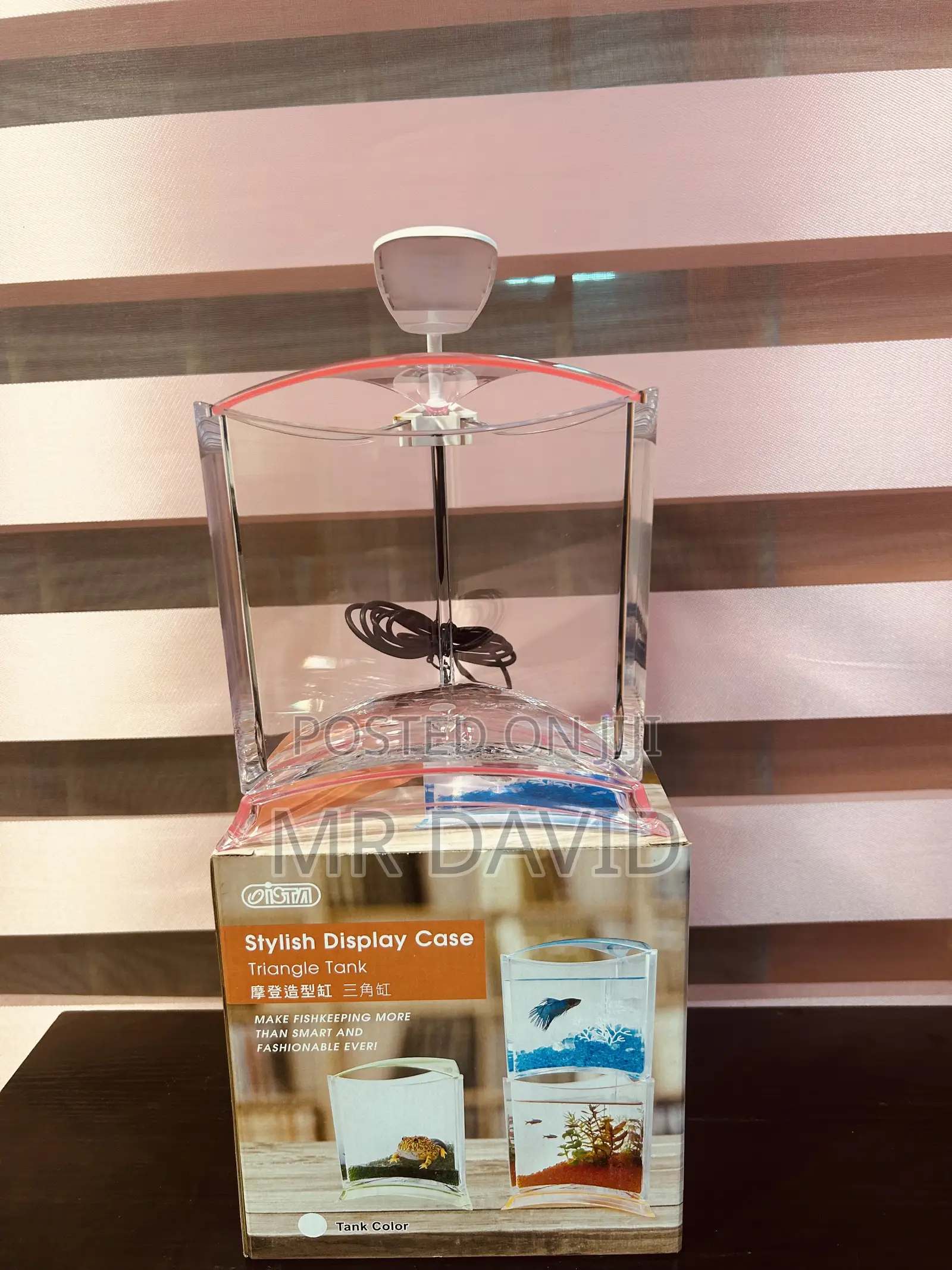 Mini Aquarium Tanks