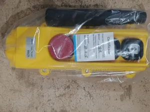 Hoist Electric Control Switch
