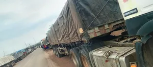 Distributor of Dangote and Boa Cement