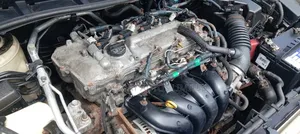 Toyota Corolla 2009 Gold