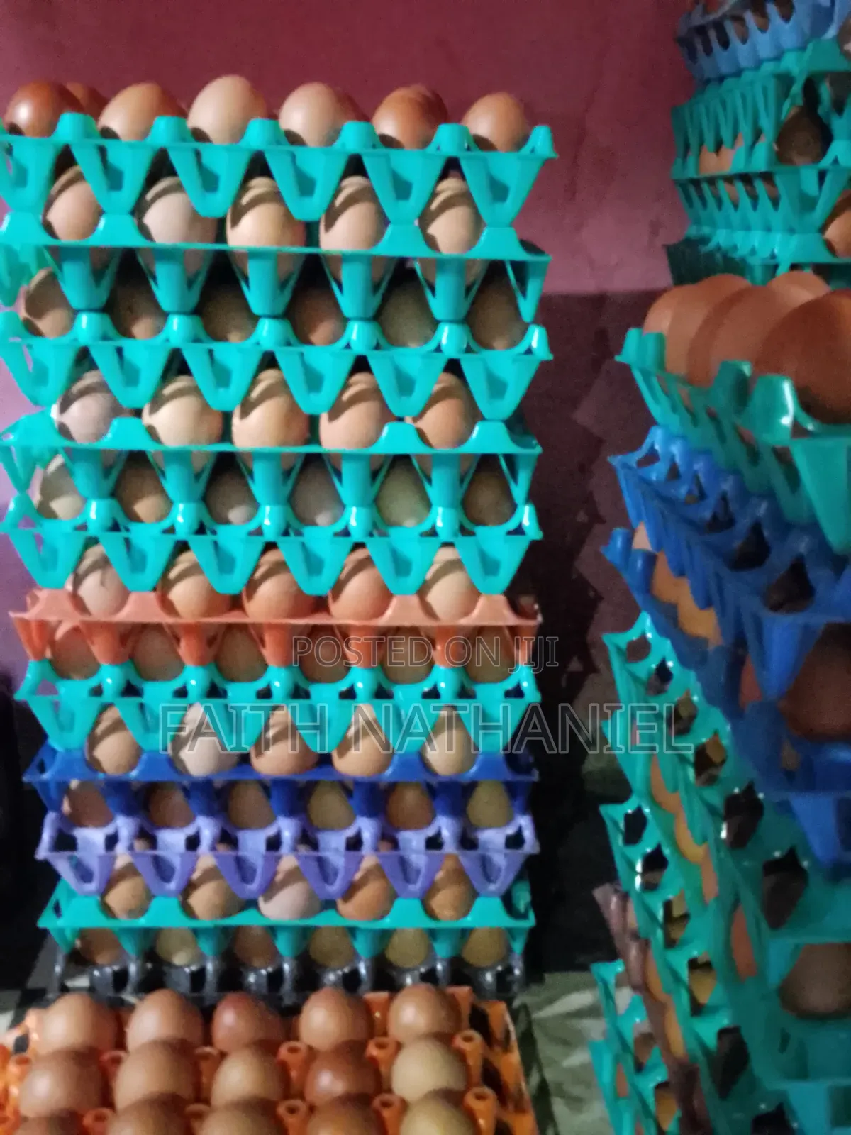 Fresh Eggs