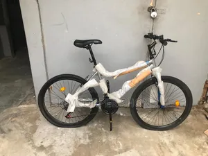 Raleigh Sport Bicycle
