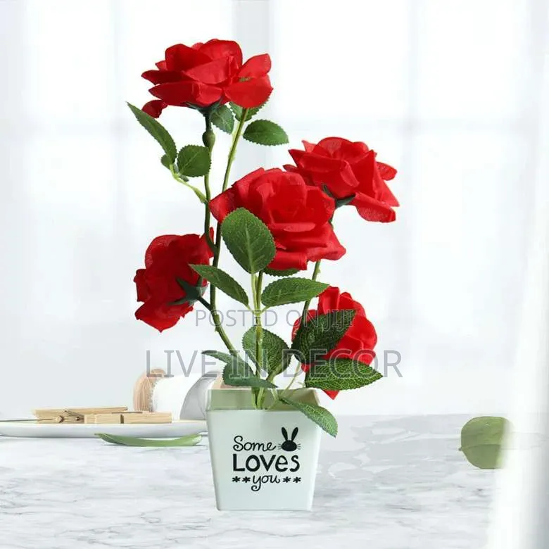 Rose Plants