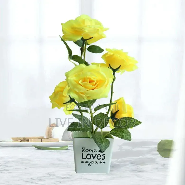 Rose Plants