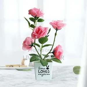 Rose Plants