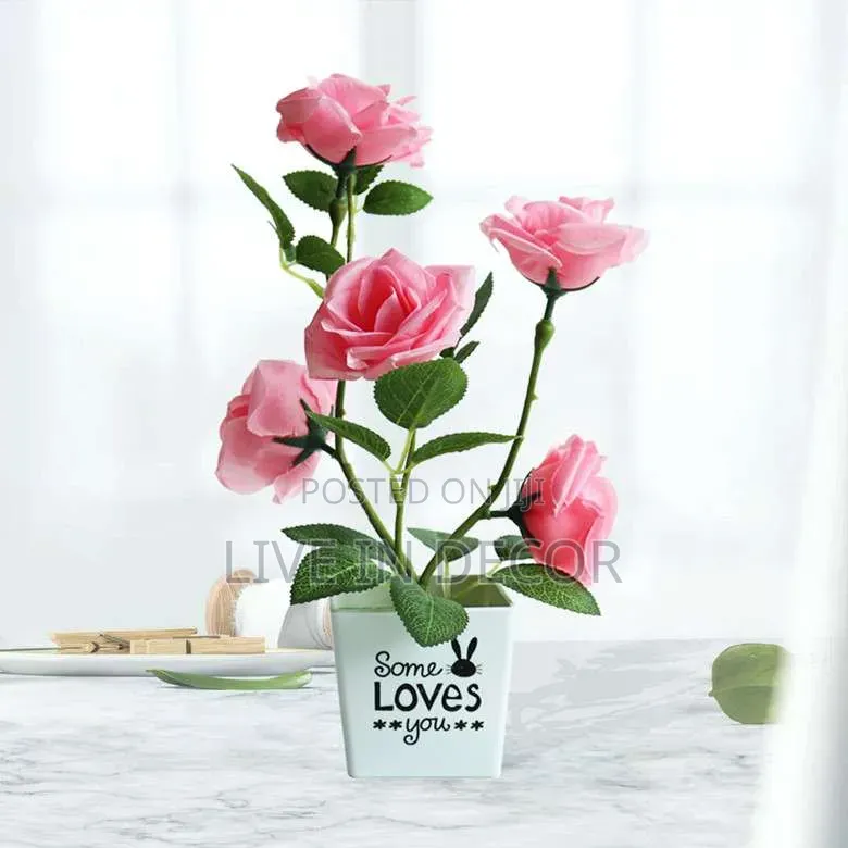 Rose Plants