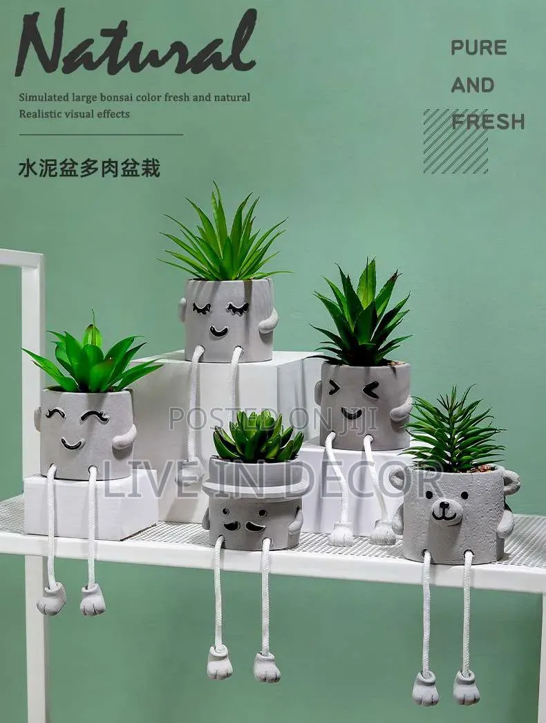 Smiley Face Plants