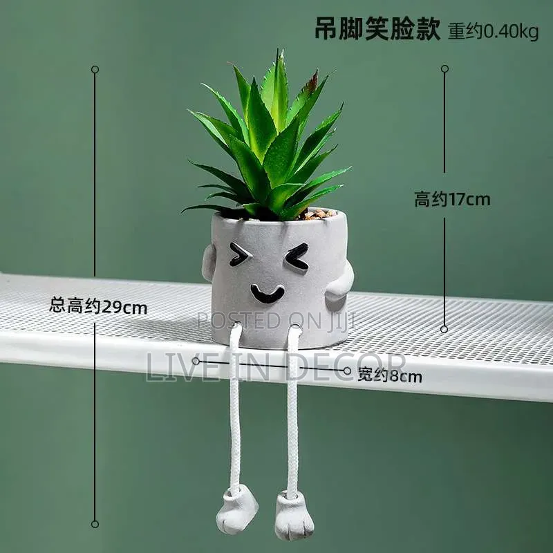 Smiley Face Plants