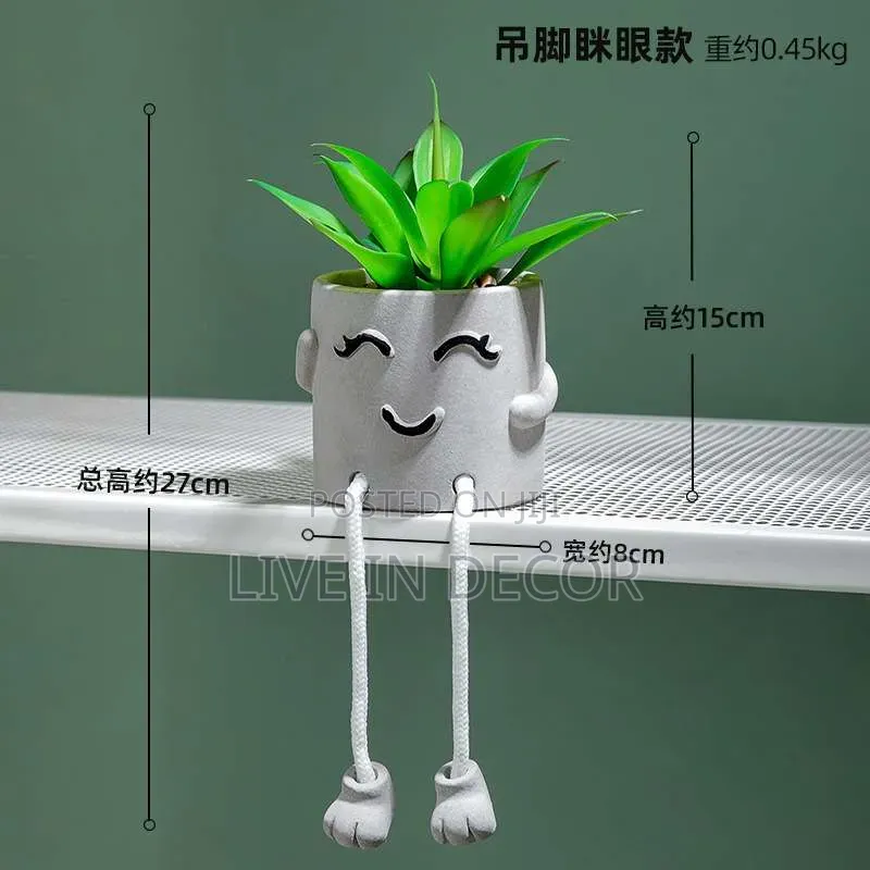 Smiley Face Plants