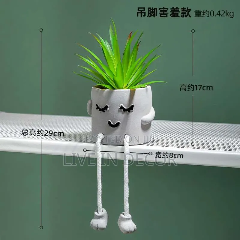 Smiley Face Plants