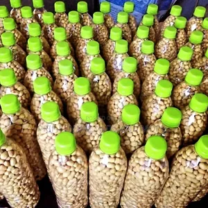Prif-Rential Roasted Groundnut