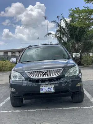 Lexus RX 330 2004 Gray