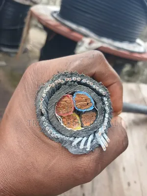 16mm 4 Core Armoured Cable Nigeria Coleman