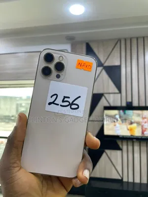 Apple iPhone 12 Pro Max 256 GB Gold