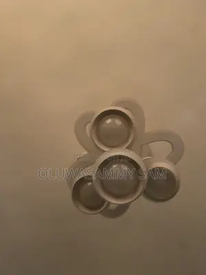 Chandelier Light