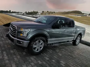 Ford F-150 2017 Gray