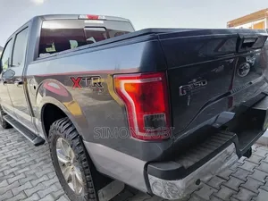 Ford F-150 2017 Gray