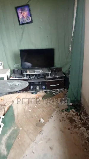 Electronics/Tv