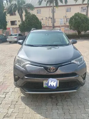 Toyota RAV4 XLE AWD (2.5L 4cyl 6A) 2017 Gray