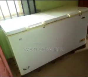 Chest Deep Freezer