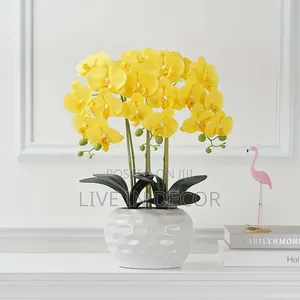 Phalaenopsis Potted Silk Flower