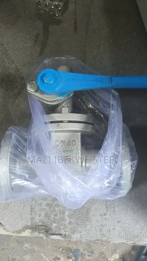 Dn 40 Blow Down Valve
