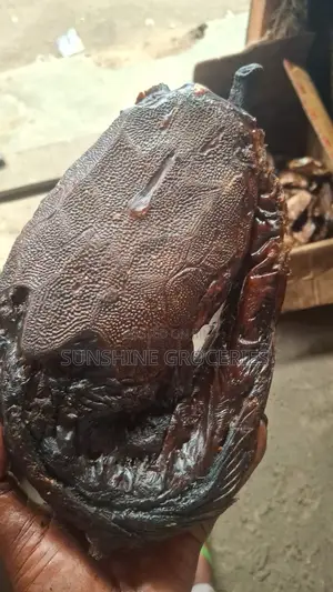 Tasty Dryfish
