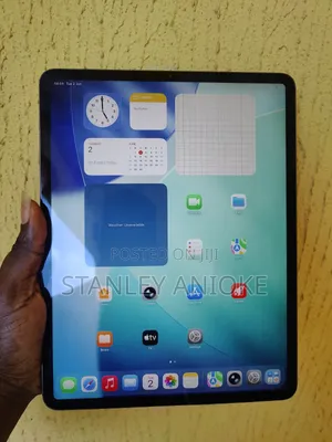 Apple iPad Pro 12.9 (2020) 256 GB Gray