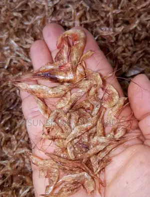 Sand Free Crayfish