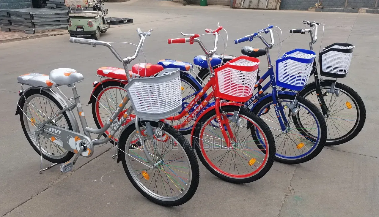Adults Bicycle