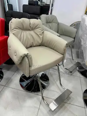 Standard Styling/ Salon Chair